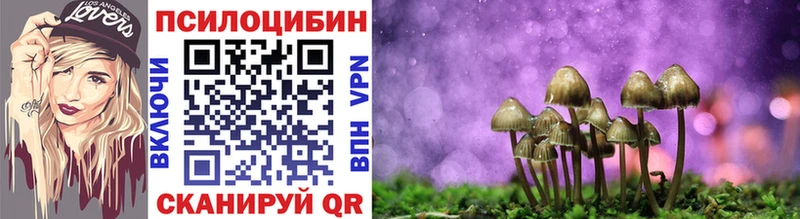 купить закладку Саки Галлюциногенные грибы прущие грибы